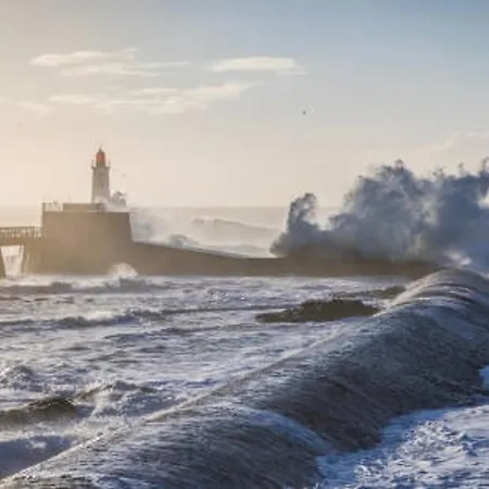 Face A L'ocean, Terrasse, Garage, 2 - Thalasso A Proximite - Fr-1-325-10 Les Sables-dʼOlonne