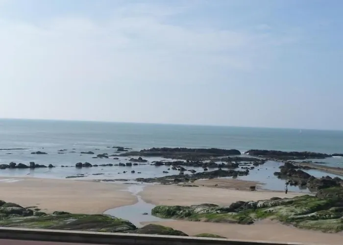 Appartement Face A L'ocean, Terrasse, Garage, 2 - Thalasso A Proximite - Fr-1-325-10